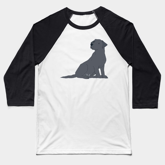 Black Labrador Retriever Dog Baseball T-Shirt by JunkyDotCom